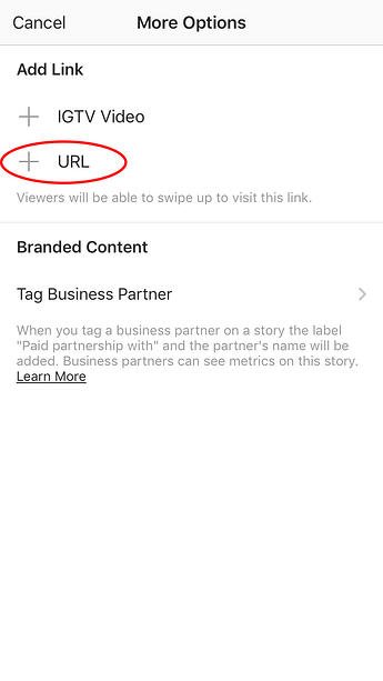 Add Link to Instagram Story: Click +URL