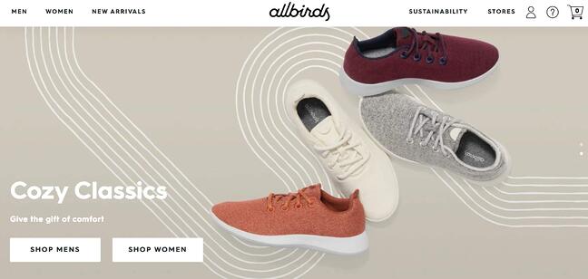 STP marketing example: AllBirds