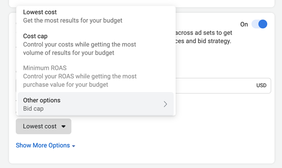 facebook cbo tutorial: campaign bid strategy