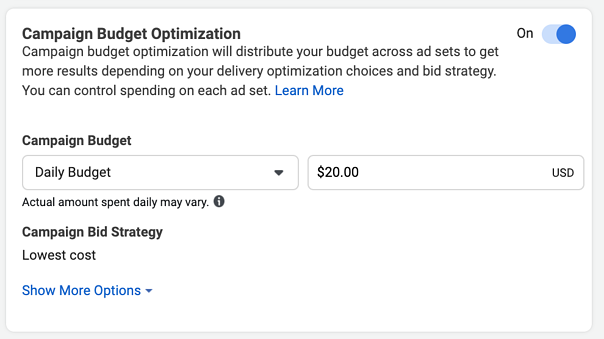 facebook cbo tutorial: campaign budget type