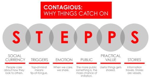 marketing strategy framework: stepps model