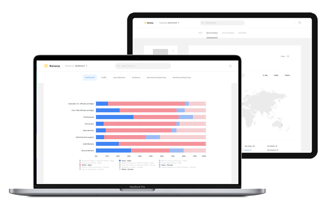 Kanarys DEI technology dashboard