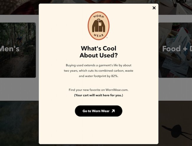 Exit intent popup example: Patagonia