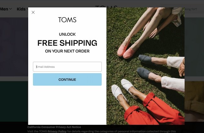 Exit intent popup example: Toms