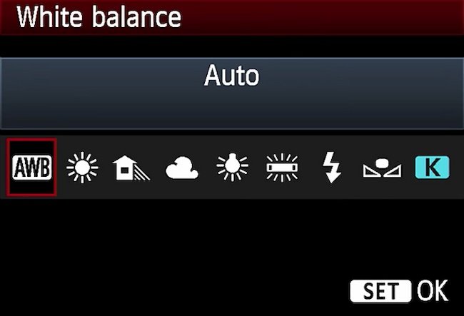 Video marketing guide example: White balance on camera