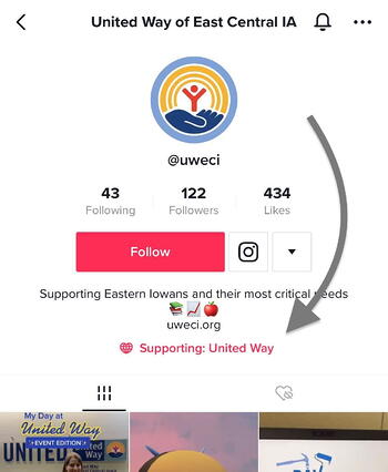 Tiktok donation sticker on user profile