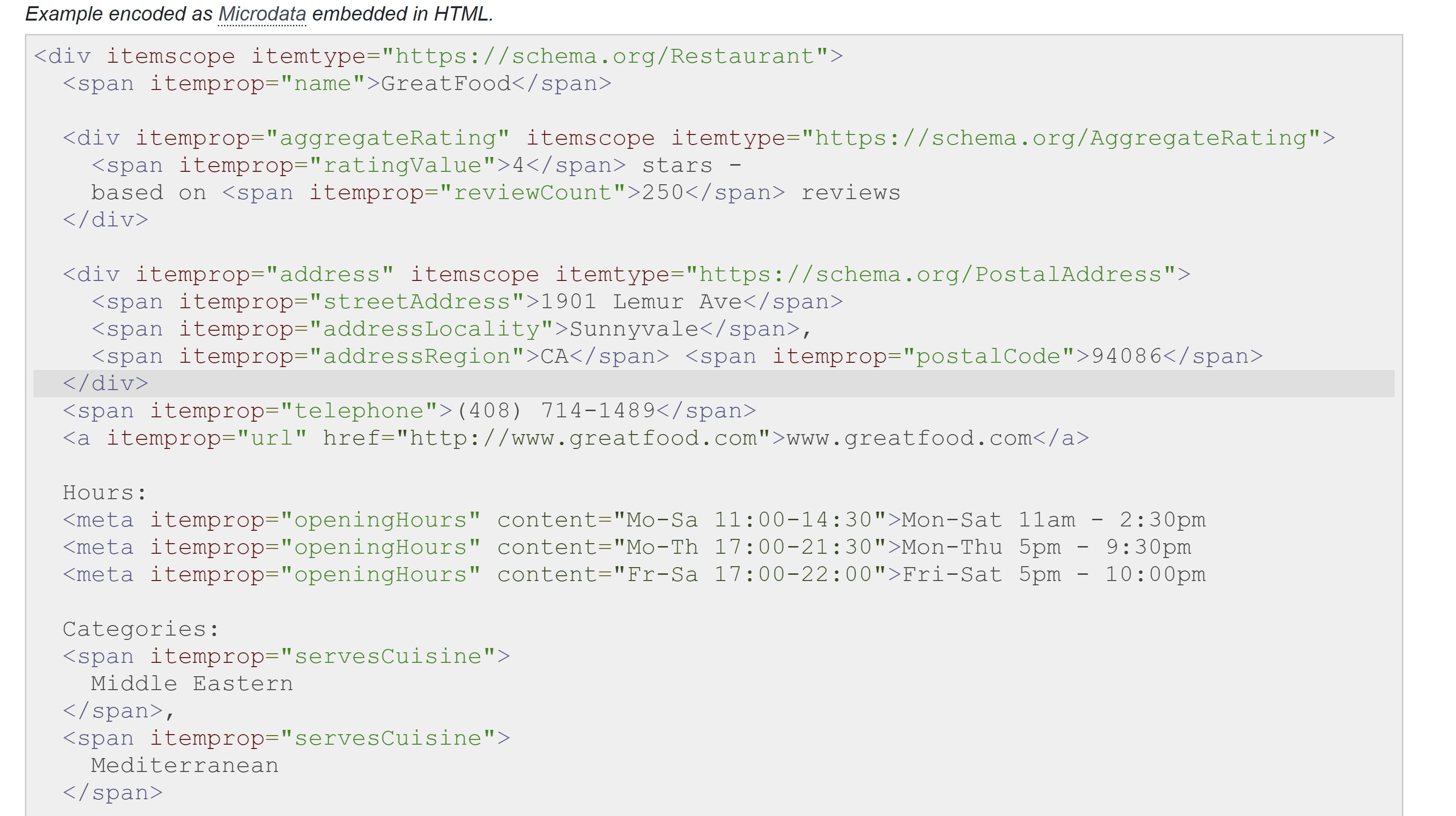 Example of standard local business schema microdata format