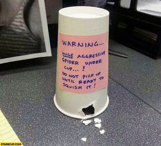 Spider office prank