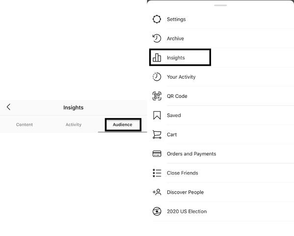 instagram audience insights to increase instagram engagement score