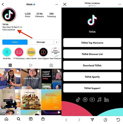 instagram linktree example tiktok