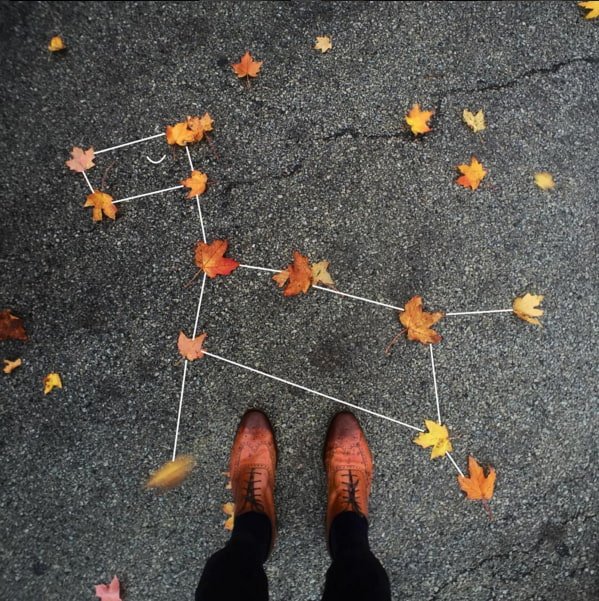 leaf-dog-constellation