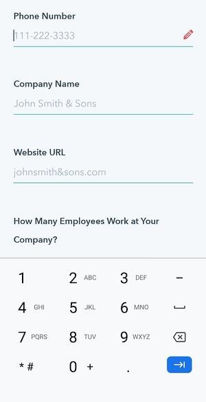 mobile form design, input constraint displaying a numeric keyboard