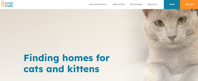 homepage design ideas, nine lives foundation