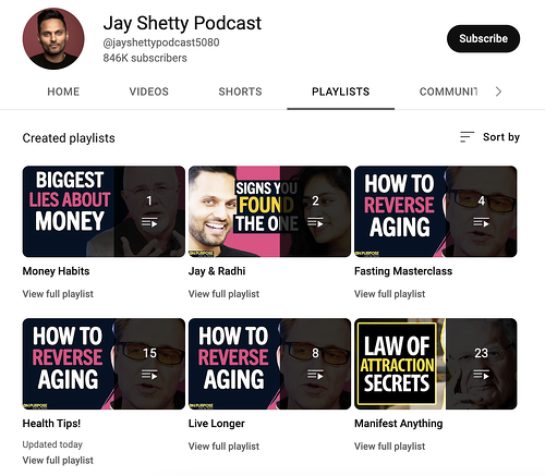 Podcast SEO: an example of a YouTube podcast channel using playlists to organize videos under different topics.