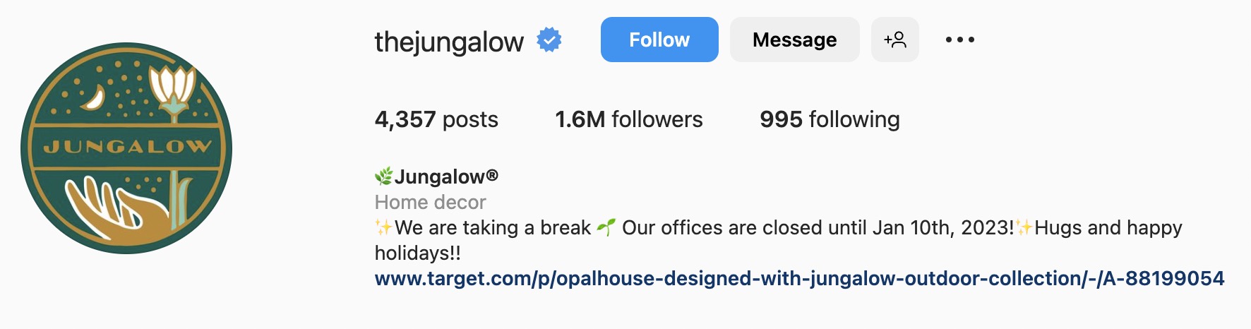 Creative Instagram bio ideas, jungalow