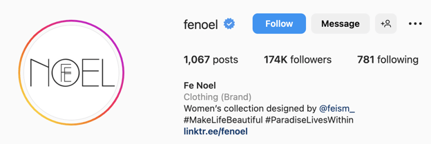 Creative Instagram bio ideas, fe noel