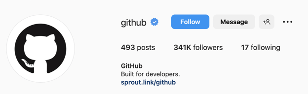 Simple Instagram bio ideas, github