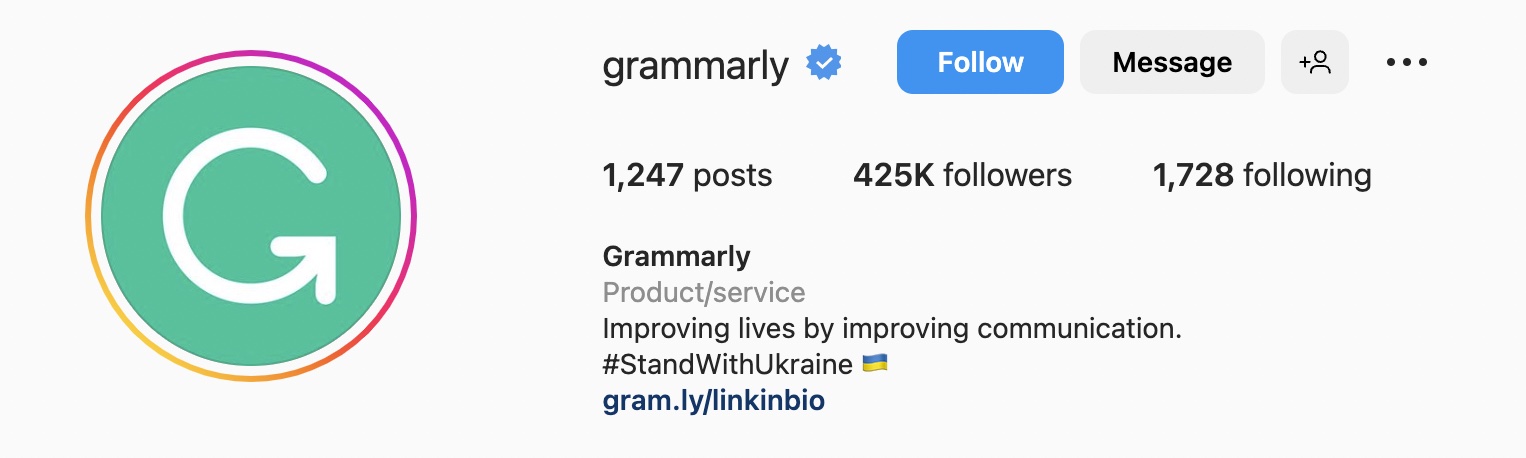 Instagram bio ideas for SaaS businesses, grammarly