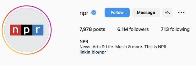 Simple Instagram bio ideas, npr