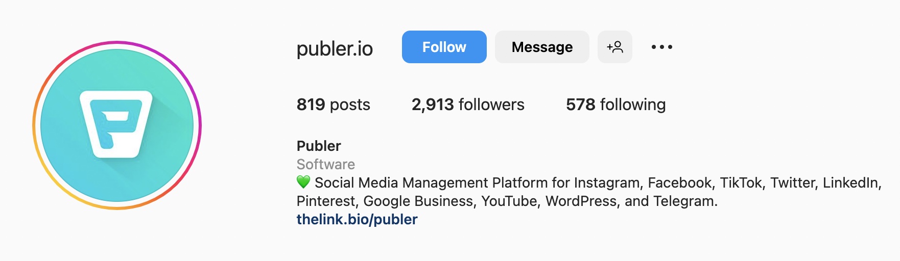 Instagram bio ideas for SaaS businesses, publer