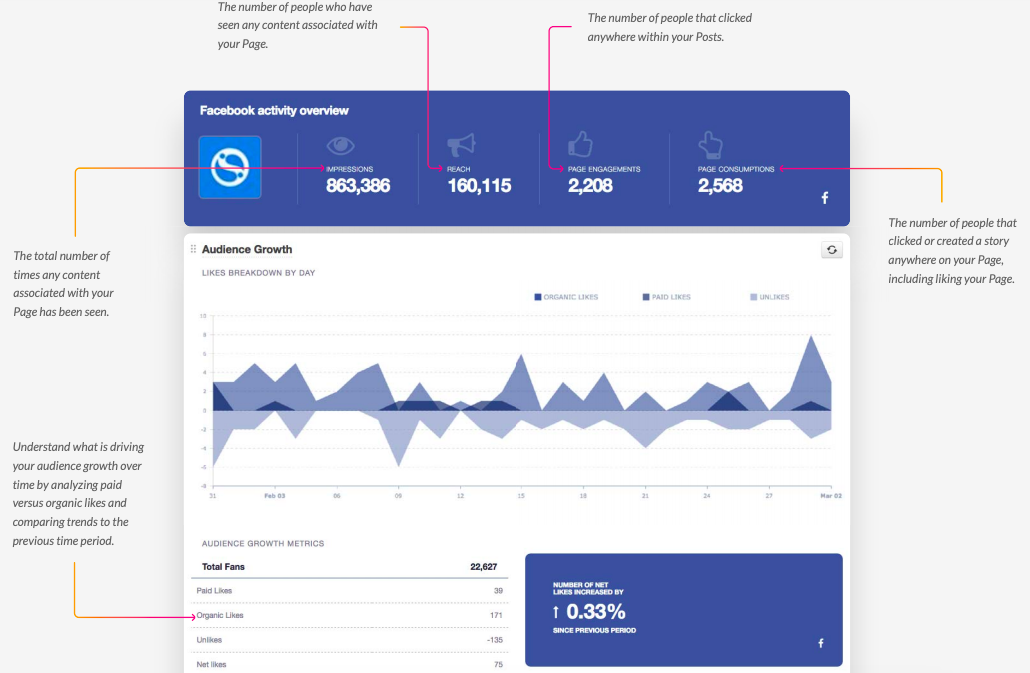 sendible report example