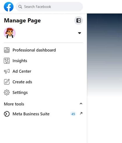 Screenshot of business page menu; Facebook Insights