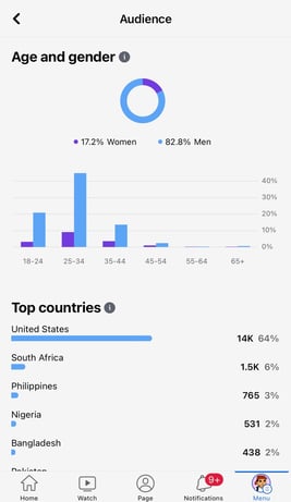 Screenshot of Facebook Audience Insights feature; Facebook Insights