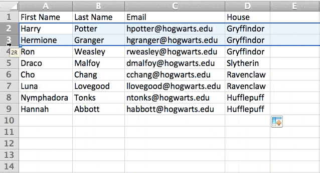 Microsoft Excel basics: Inserting Rows or Columns